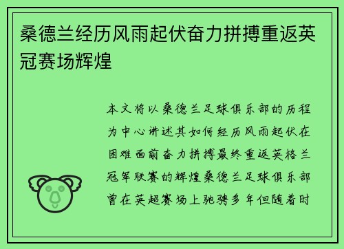 桑德兰经历风雨起伏奋力拼搏重返英冠赛场辉煌